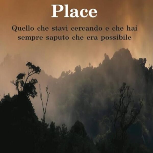 WhatsApp Bild 2025-04-15 um 15.27.49_0553a02d The Place by Gary Douglas